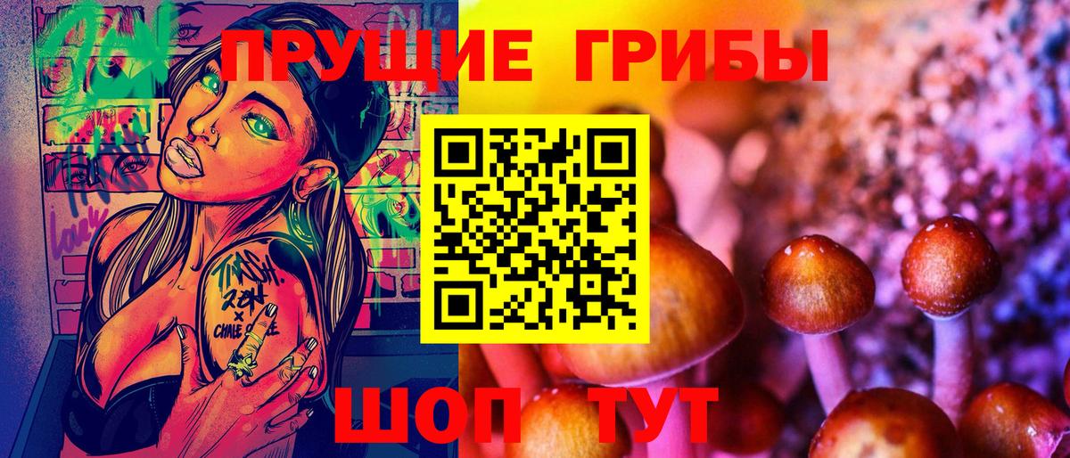 Псилоцибиновые грибы Cubensis  наркота  Жуковский  Вход с VPN 