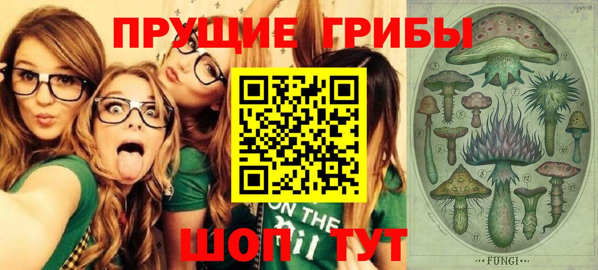 Псилоцибиновые грибы GOLDEN TEACHER Жуковский